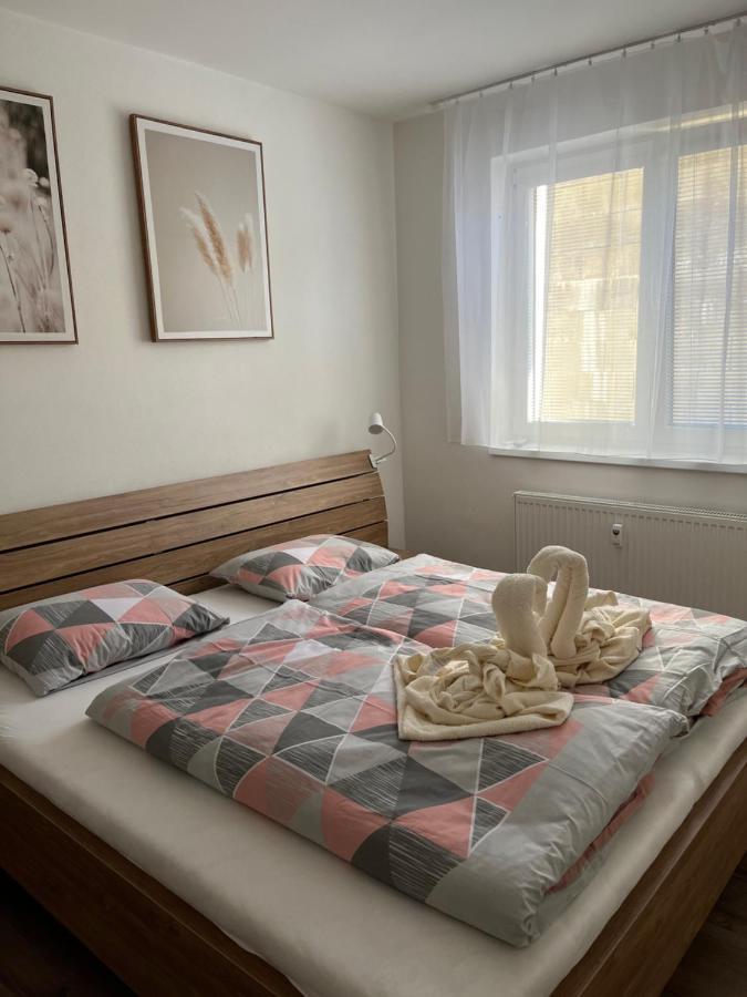 Novy Apartman V Arealu Wellness Hotelu Frymburk Eksteriør bilde