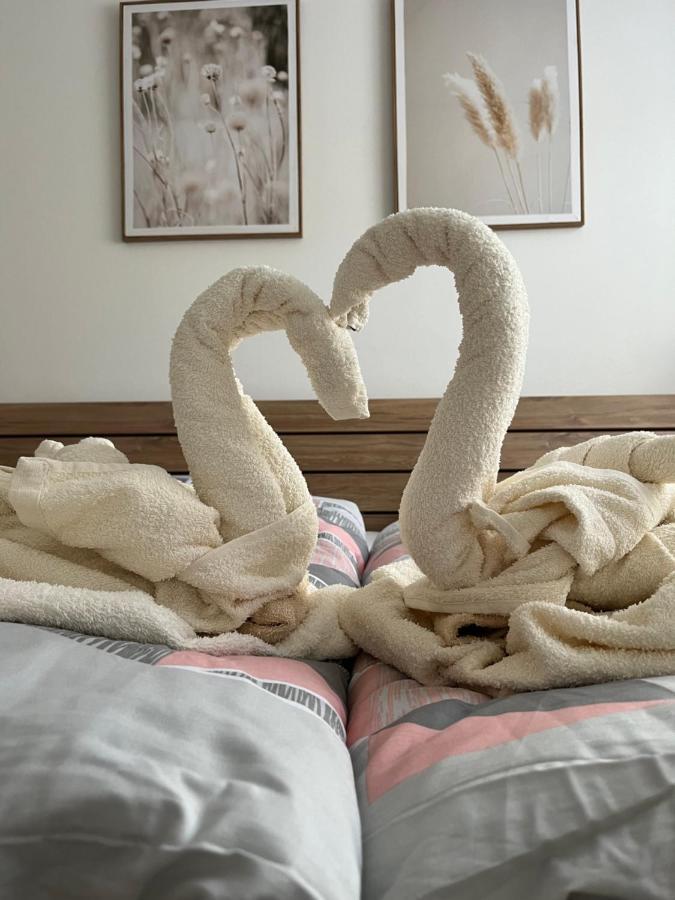 Novy Apartman V Arealu Wellness Hotelu Frymburk Eksteriør bilde