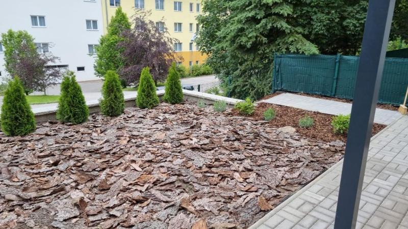 Novy Apartman V Arealu Wellness Hotelu Frymburk Eksteriør bilde